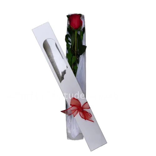 Caja de una rosa